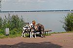 am Steinhuder Meer ....