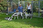 Perle, Viona, Wiby und Xari 