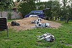 kurze Verschnaufpause 