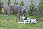 Byron und Xari 