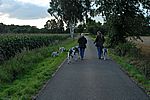 und auf zum Spaziergang mit den Deutschen Doggen vom K&uuml;hlen Grunde
