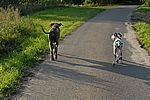 Byron und Xari 