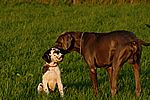 Xari und Byron 