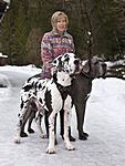 Fotos von Herbert - mehr Fotos unter fotografie.at