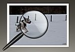 Fotos von Herbert - mehr Fotos unter fotografie.at