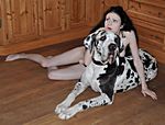 Vorbereitung zu einem Akt Shooting mit Doggen - Preparing of a nude-shooting wit Great Danes