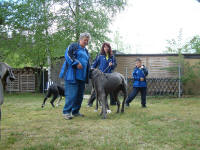 Karin, Katja und Christopher