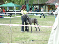 Katja mit Byron