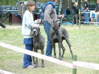 Cordula mit Balou